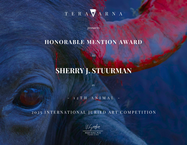 TeraVarna-Honourable-Mention-2025